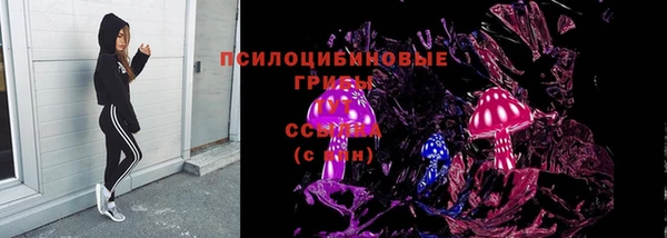 бутират Каменка