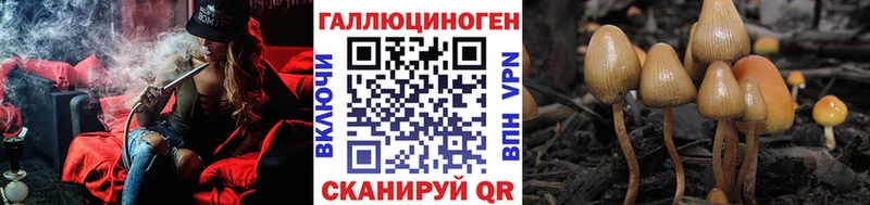 Купить  Новошахтинск  Псилоцибиновые грибы прущие грибы 