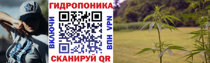 Конопля Ganja  Купить закладки  Новошахтинск 